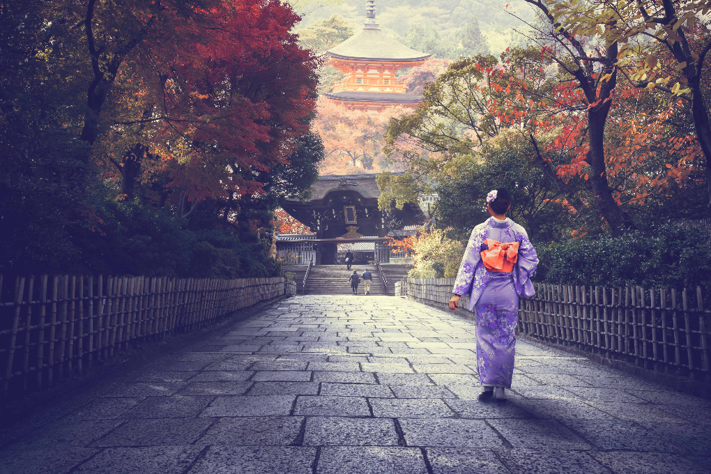 How to Explore Japan Like a Local Best Travel Tips